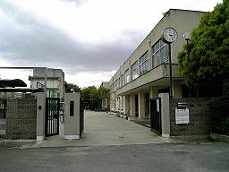 Junior high school. 1999m until Yao Municipal Taisho junior high school