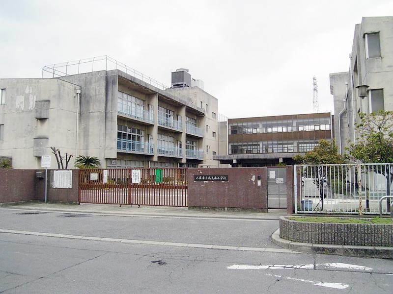 Primary school. 594m until Yao Municipal High Minami Elementary School