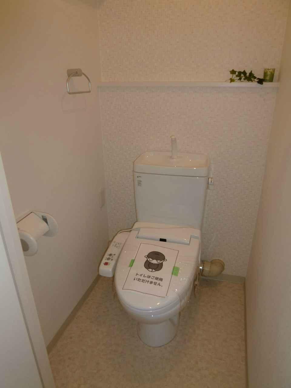 Toilet. Local photos (toilet)