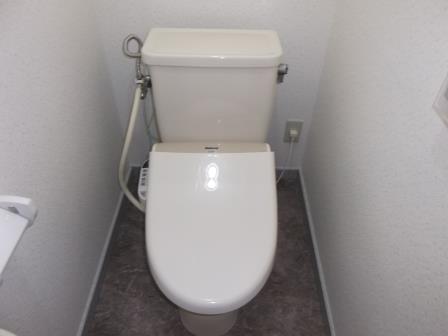 Toilet. It is hot water cleaning type of toilet. 