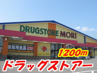 Dorakkusutoa. Drugstore Mori Kamimine shop like 1200m until (drugstore)