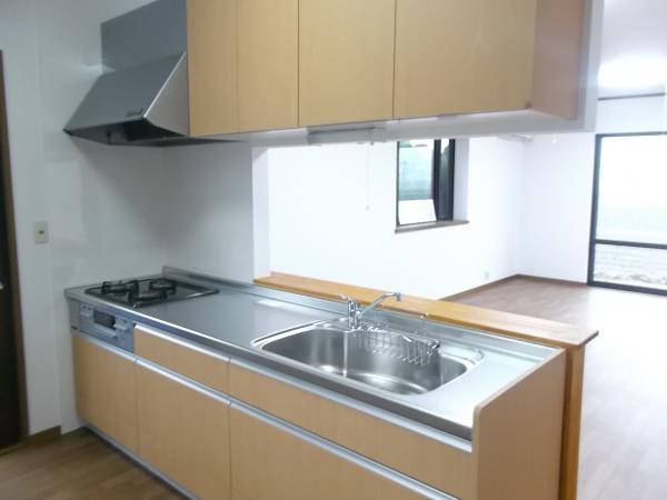 Kitchen. More fun and the usual dishes while enjoying the conversation over the counter
