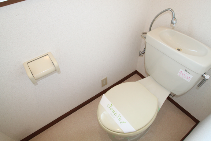 Toilet. Simple flush toilet