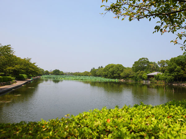 Surrounding environment. Across from the national highway, Moat surrounds the lush Saga Prefectural Saga Castle Park (photo). Walking or jogging fun, Adorned moments of rest to explore with family.
