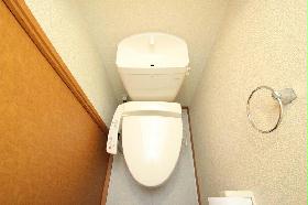 Toilet. Toilet with hot water cleaning function