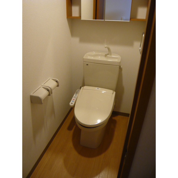 Toilet. With storage shelves in toilet