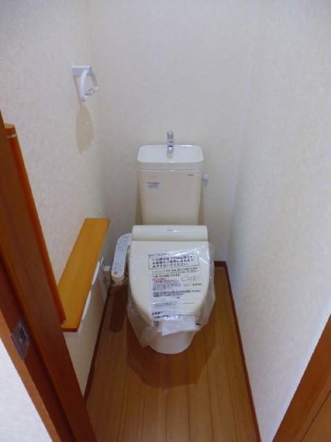 Toilet. Reference image of the same specification