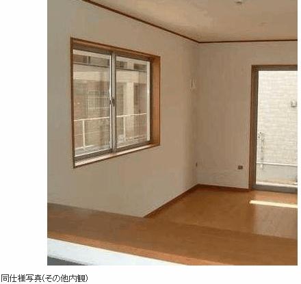 Other. The photograph is the same type