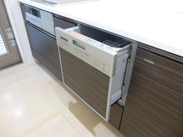 Other introspection. With dishwasher