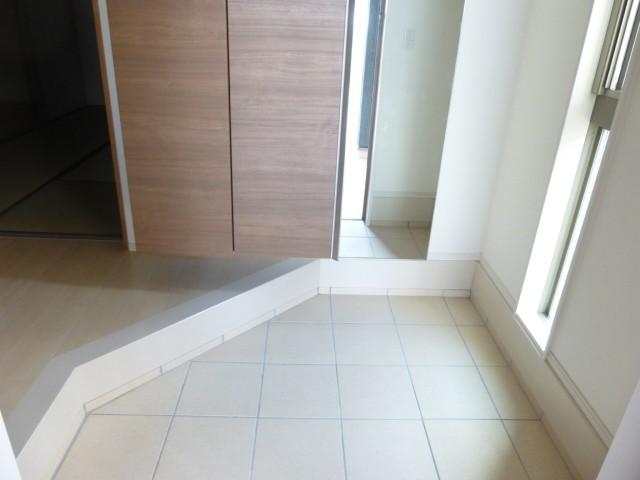 Other introspection. Entrance