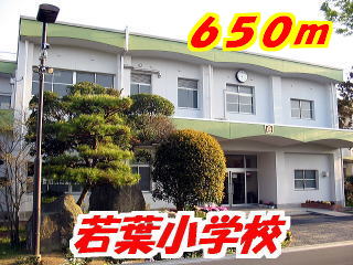 Primary school. Young leaves up to elementary school (elementary school) 650m