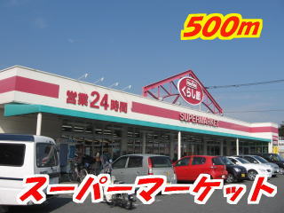 Supermarket. 500m to living museum Sonezaki store like (Super)