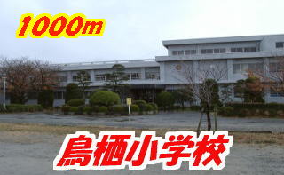Primary school. Tosu 1000m up to elementary school (elementary school)