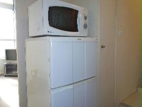 Other. Consumer electronics equipment (refrigerator microwave)