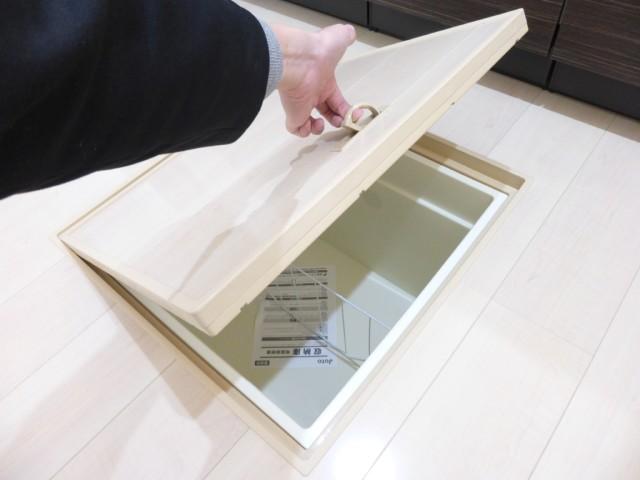 Other introspection. Underfloor Storage