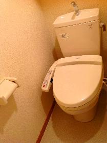 Toilet. Because the hot water cleaning toilet seat is comfortable even in winter.