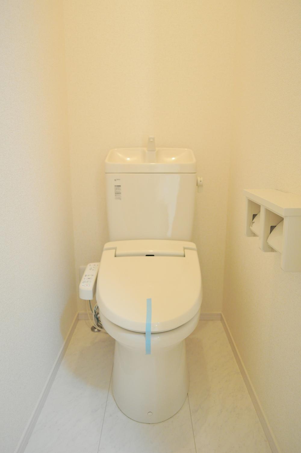 Toilet. Cleaning settled (December 2013) Shooting