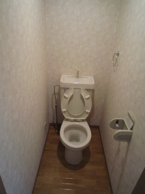 Other. Toilet