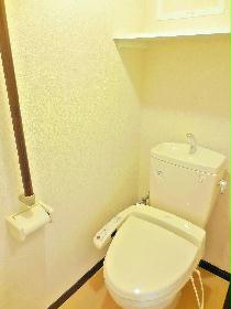 Toilet. Year-round comfort is with warm water washing toilet seat.