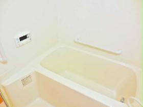 Bath. It is a spacious bathroom with add cooking function.