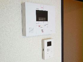 Other. Security is also safe in the SECOM & monitor intercom.