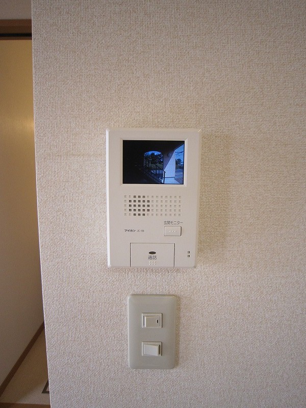 Security. Intercom with TV monitor