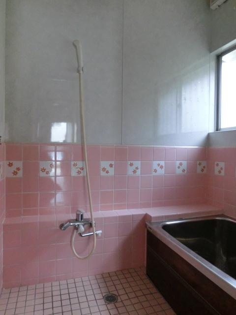 Bathroom. Local (September 2013) Shooting