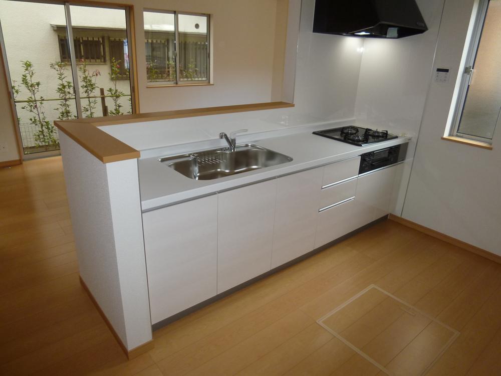 Kitchen. Indoor (11 May 2013) Shooting