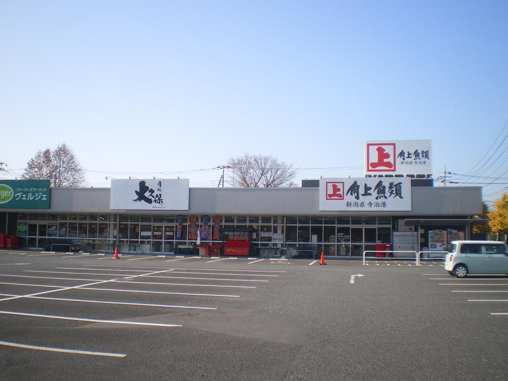 Other. Corner on the fish