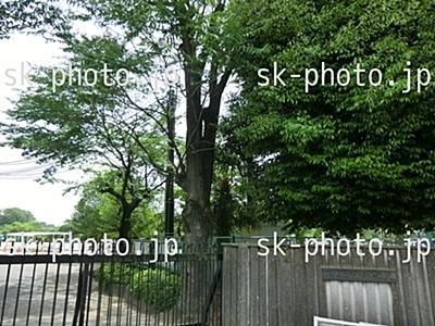 Primary school. 420m to square elementary school