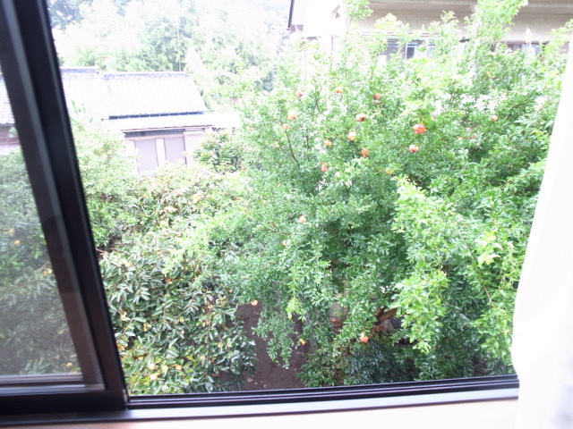 View. Adjacent garden visible from the second floor Western-style window Pomegranate is cute.