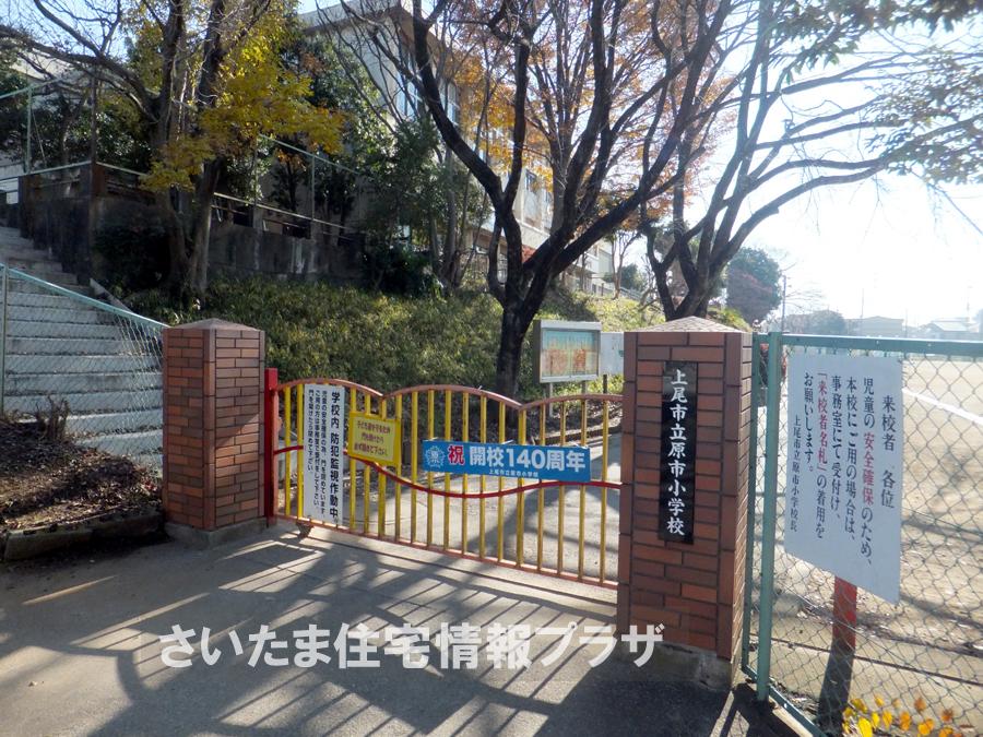 Primary school. For also important environment in Changwon elementary school you live, The Company has investigated properly. I will do my best to get rid of your anxiety even a little. 