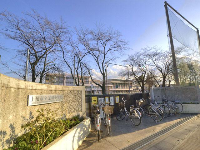 Primary school. Shibakawa until elementary school 520m