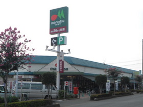 Supermarket. 110m until Maruetsu (super)