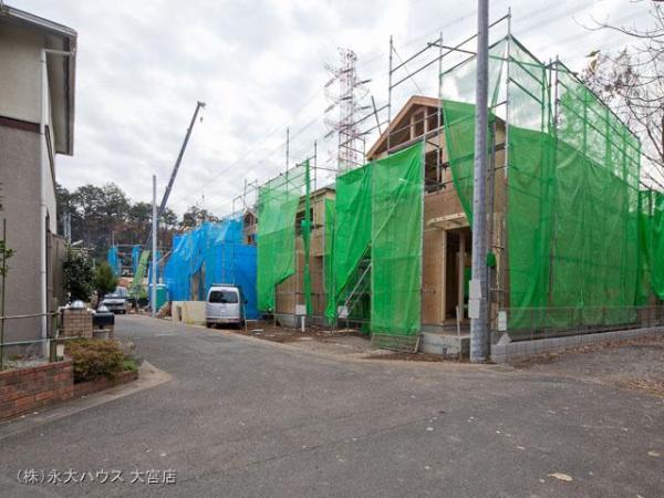 Local photos, including front road