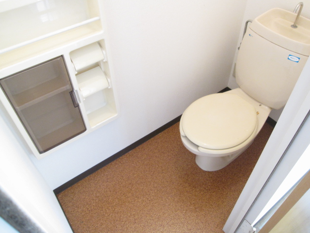 Toilet. You can storage accessories