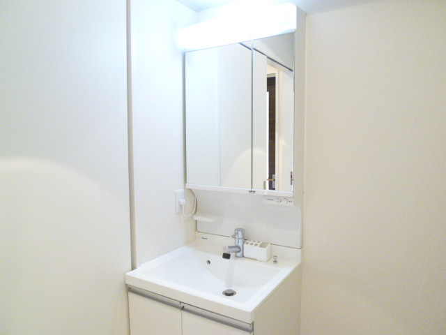 Washroom. Bathroom Vanity