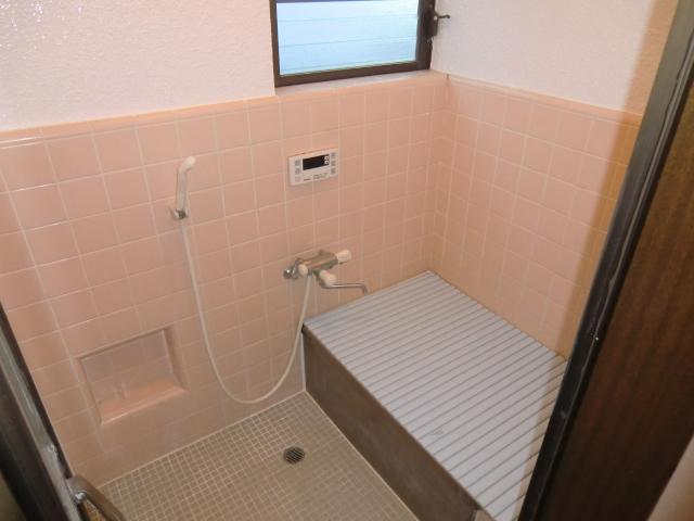 Bathroom. Indoor (11 May 2013) Shooting