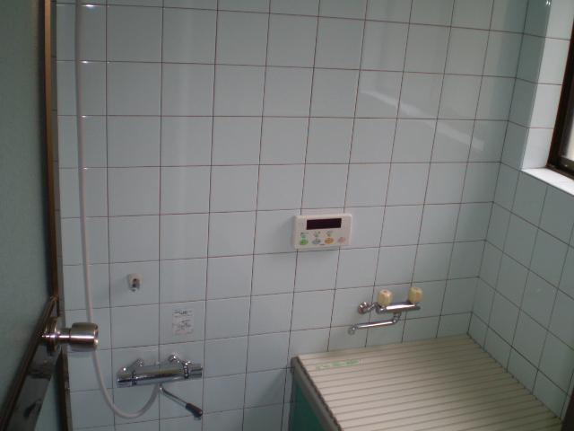 Bathroom. June 2012 shooting