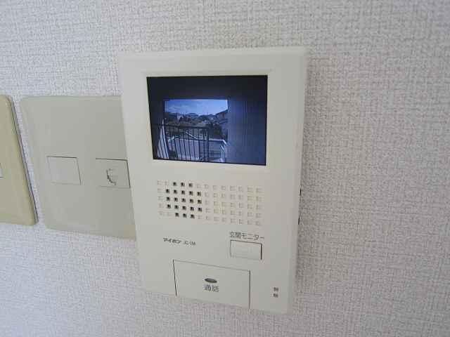 Security. TV door