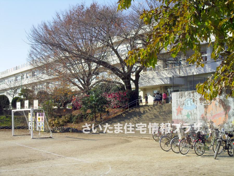 Primary school. For also important environment in Ageo City square elementary school you live, The Company has investigated properly. I will do my best to get rid of your anxiety even a little. 