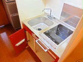 Kitchen. It also incorporates a safe electric stove for the first time living alone.