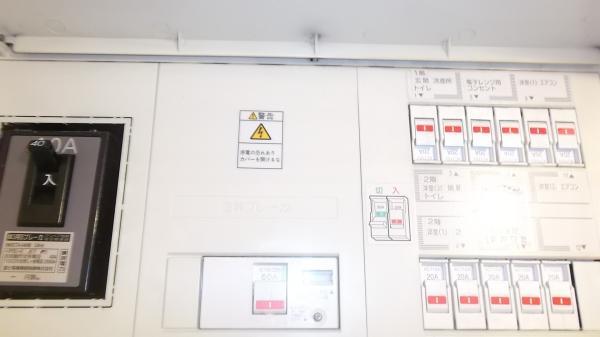 Other introspection. 40A11 circuit
