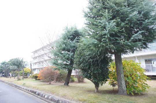 Local appearance photo. appearance