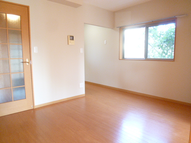 Other room space. Bright room with many windows in the corner room! !