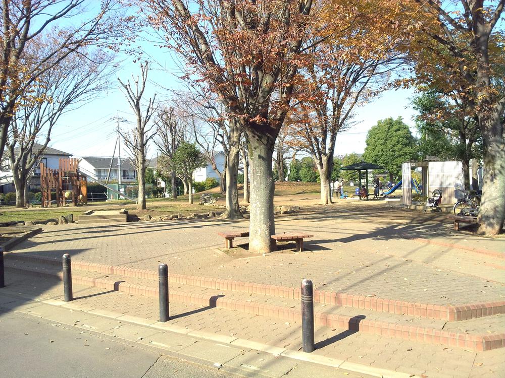 Other. Gen Sakata Central Park