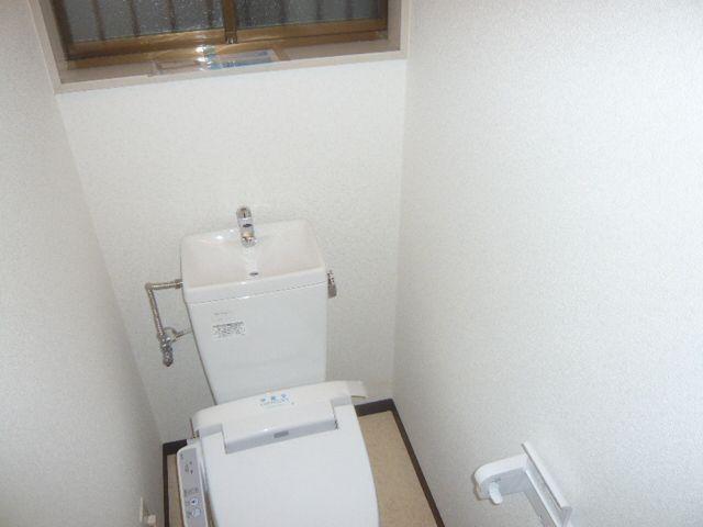 Toilet. Renovation with a new one