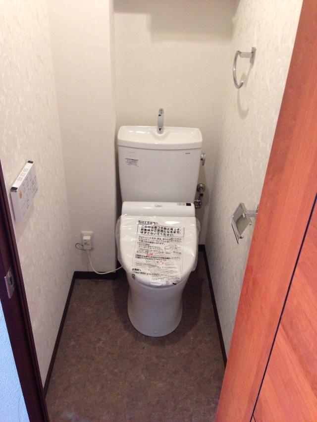 Toilet. Already replaced with a new one