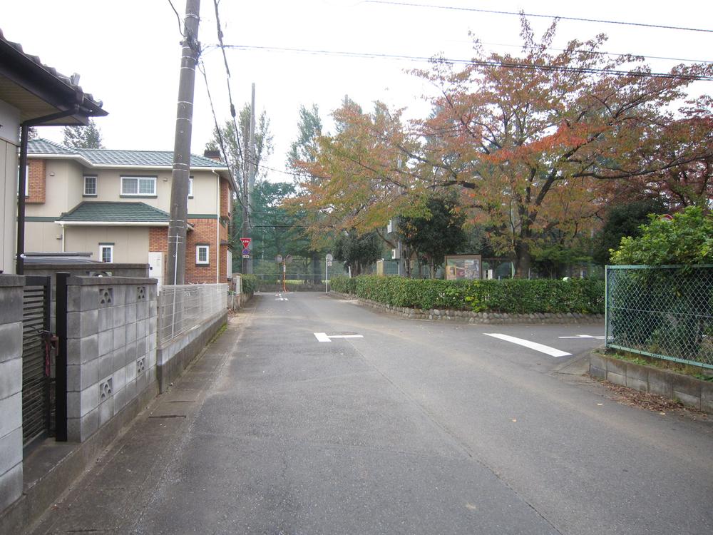 Local photos, including front road