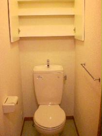 Toilet. Also it comes with storage space at the top.